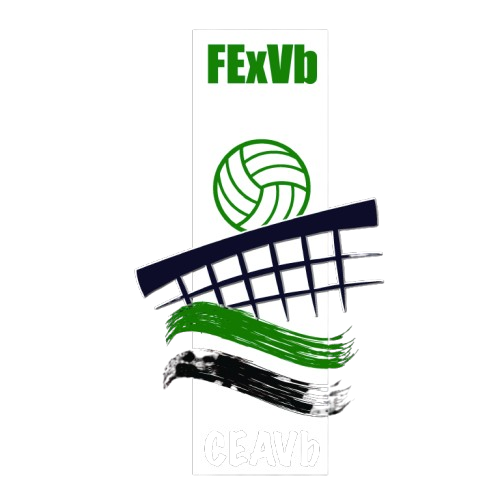 FEDEXVB Logo